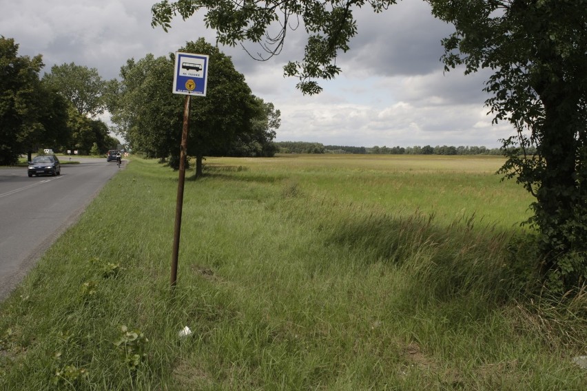 Leszno. Zbiornik w Rydzynie ma już ponad siedem lat. Kiedyś były to pola [ZDJĘCIA]