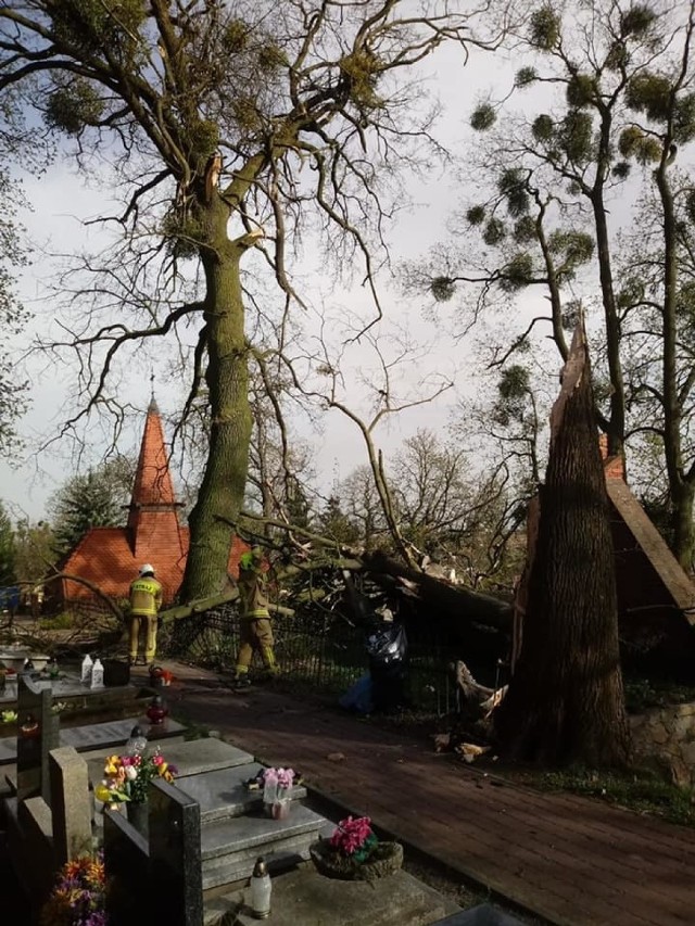 Na chełmińskim cmentarzu wiatr przewrócił drzewa, które uszkodziły pomniki