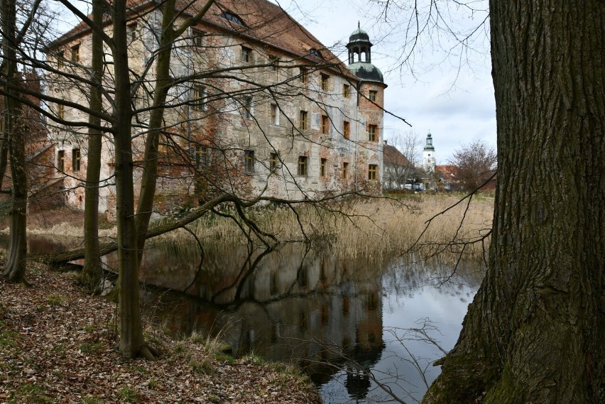Zamek w Broniszowie wczesną wiosną