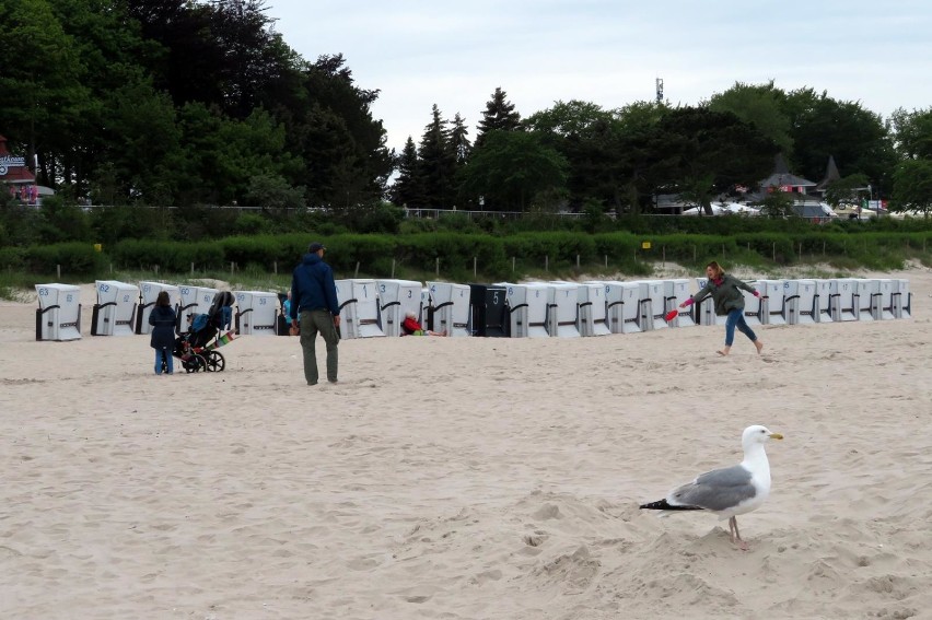 Refulacja plaży w Ustce. Atrakcja dla spacerowiczów i miłośników bursztynu