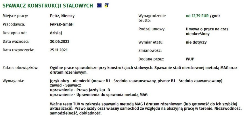 Szukasz pracy w Niemczech? Jesteś ciekawy w jakich zawodach...