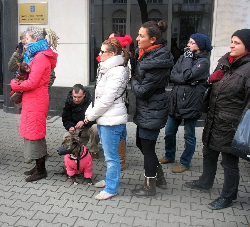 Jednym ze sposobów zabijania psów jest podawanie im trucizny...