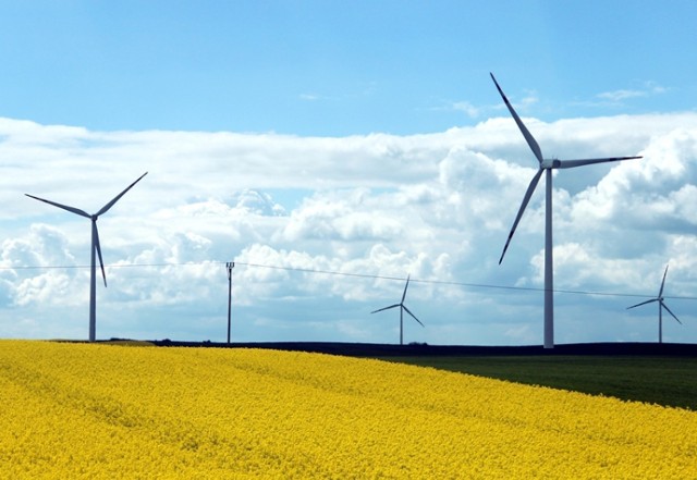 Farmy wiatrowe działają już w sąsiedniej gminie Pelplin