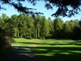 Arboretum Wirty - Najstarszy w Polsce Leśny Ogród Dendrologiczny