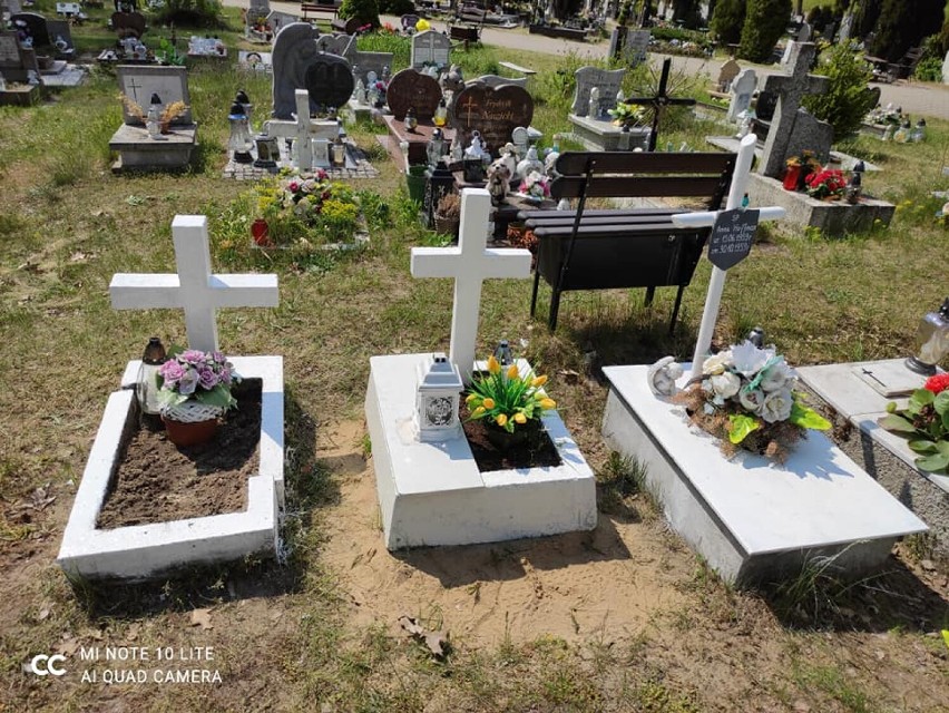 Młodzi ludzie z Goleniowa porządkowali zapomniane groby na...