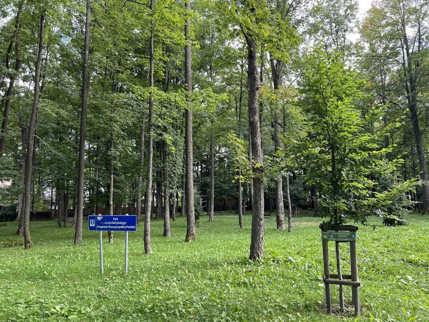 Park Lecha Kaczyńskiego w Zakopanem