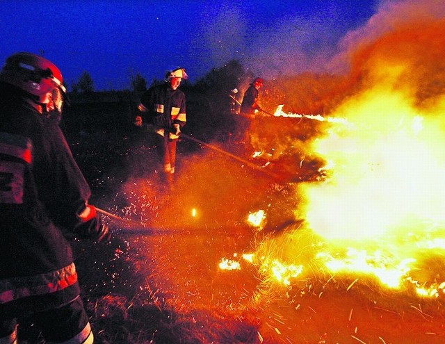 Pożar traw przy ul. Niklowej gasiło pięć jednostek straży