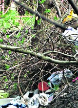Życie po śmieciach: Zanieczyszczona Słupna