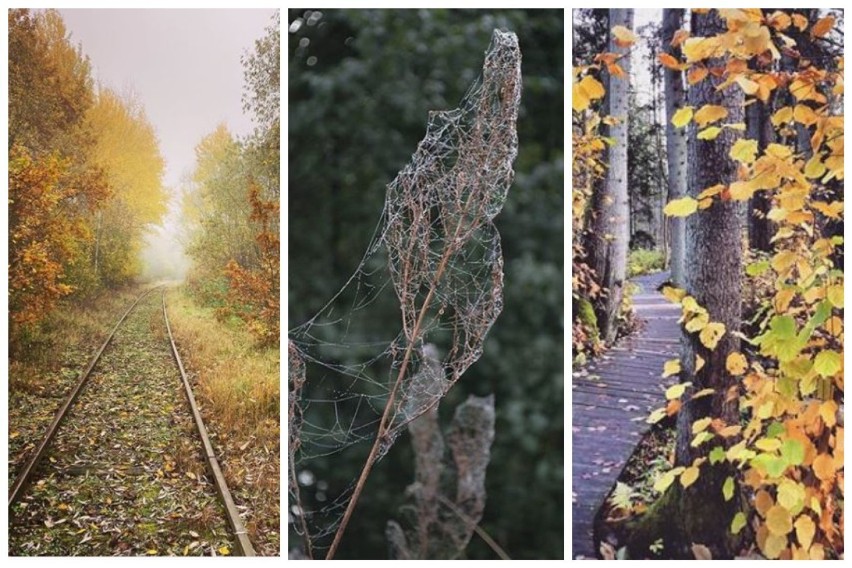 Podlaska jesień oczami Internautów. Zobacz malownicze zdjęcia z Instagrama!
