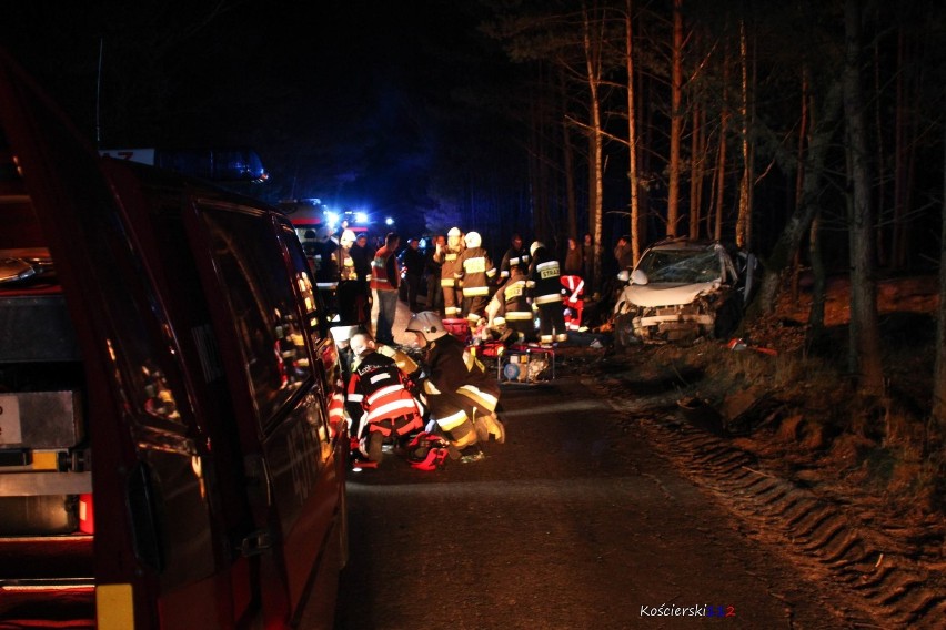 Śmiertelny wypadek między Olpuchem a Wdzydzami Tucholskimi. Na prostej drodze zderzyły się 2 auta. 2 osoby nie żyją!