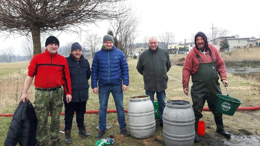 Odłowiono ryby w stawie w Kobylinie przed jego renowacją [FOTO]