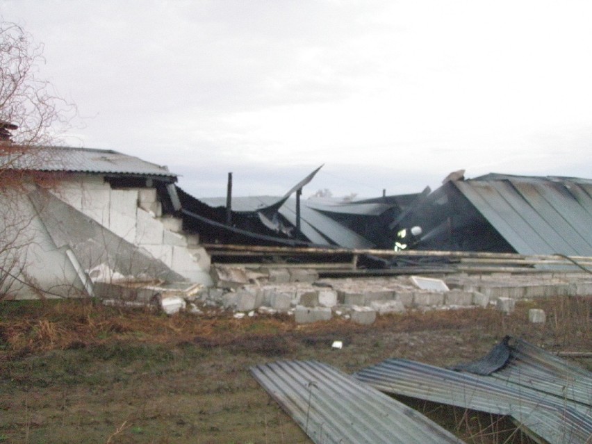 Witowice: Pożar na fermie drobiu