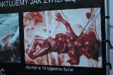 Aborcja na zdjęciach. Wystawa &quot;Wybierz Życie&quot; w Koninie