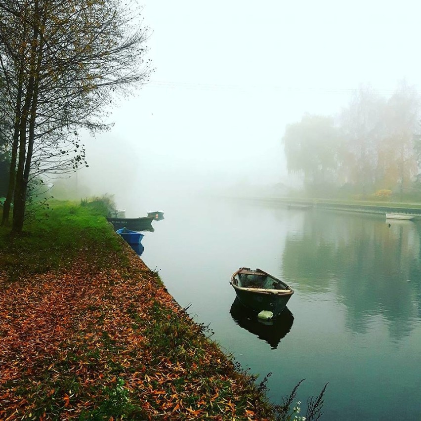 Augustów w obiektywie naszych Czytelników. Zobaczcie jak jest piękny (zdjęcia)