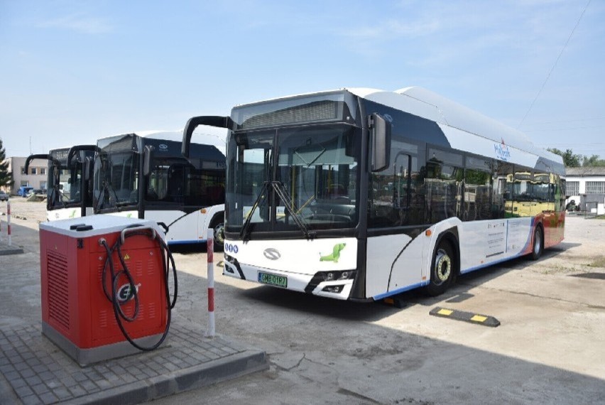 Autobusy miejskie w okresie Wszystkich Świętych. MZK przygotuje dodatkowe kursy od 30 października do 2 listopada