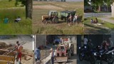 Mamy Cię ! Najlepsze ujęcia spod wieluńskich wiosek, mieszkańcy przyłapani przez Google Strett View