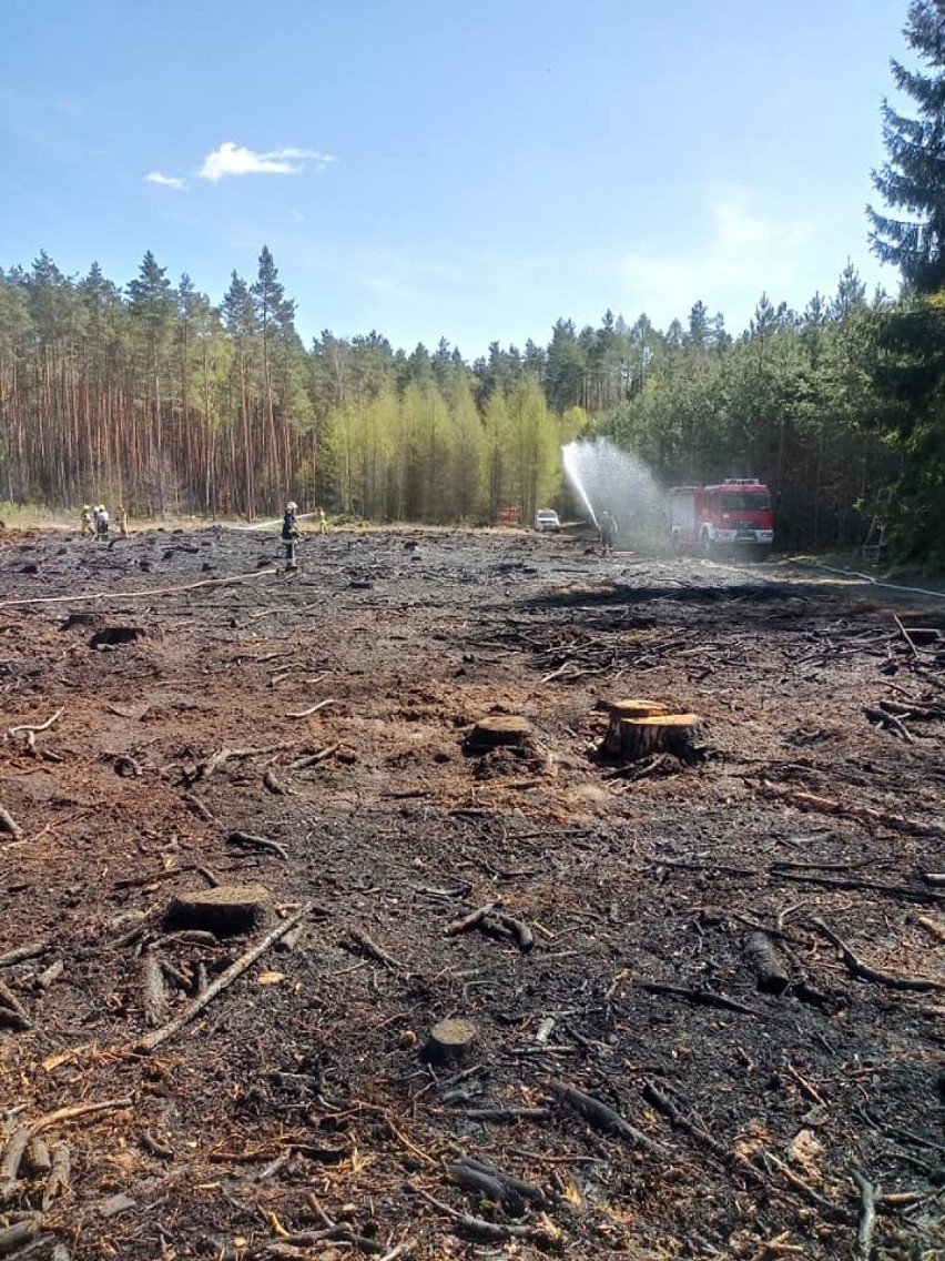 OSP Rzeczenica. Strażacy otrzymali kolejne wezwanie do pożaru lasu
