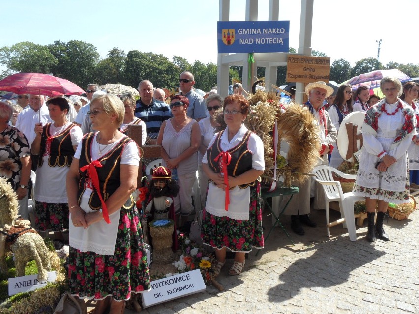 Zobacz wieńce dożynkowe na Jasnej Górze ZDJĘCIA