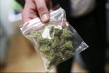 Policja znalazła w domu jednego z mieszkańców Góry kilkadziesiąt porcji marihuany