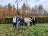 Mikoszewo. Uczniowie szkoły podstawowej mają pod opieką "swoje" dęby