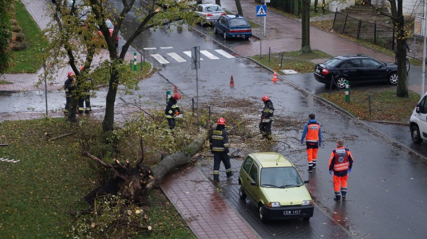 Silny wiatr w Częstochowie łamał drzewa ZDJĘCIA