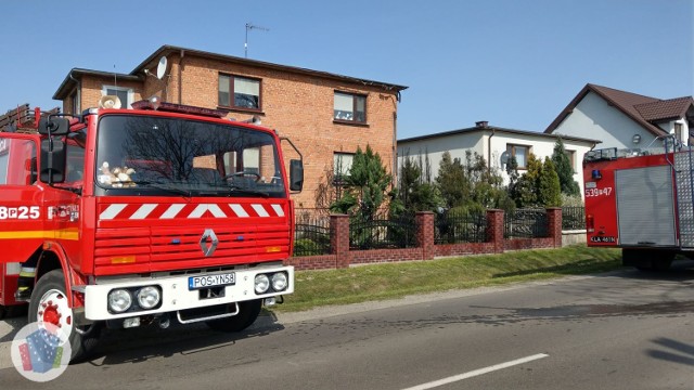 Gmina Sieroszewice. Chciał przepędzić osy, a nieomal spalił dom