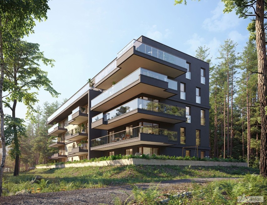 Budowa inwestycji Park Sosnowy II w Kielcach właśnie ruszyła. Powstaną piękne i nowoczesne mieszkania. Wizualizacje robią wrażenie, zobacz