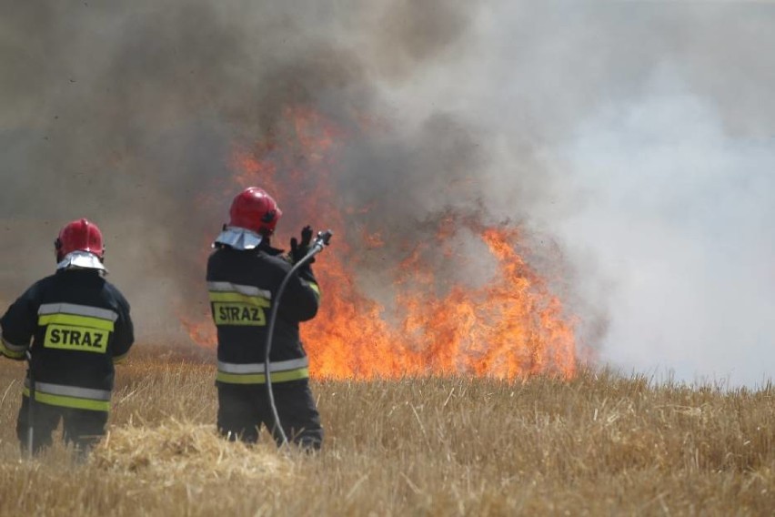 Pożar zboża na pniu w Stradomi Wierzchniej             