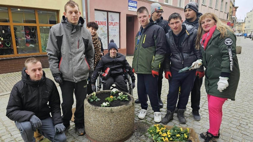 Młodzież z SOSW w Żaganiu sadziła bratki na ul. Słowackiego