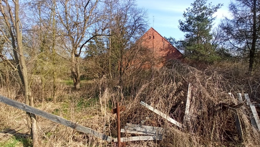 Raduchów. Urokliwa wieś z opuszczonymi domami, którą ma...