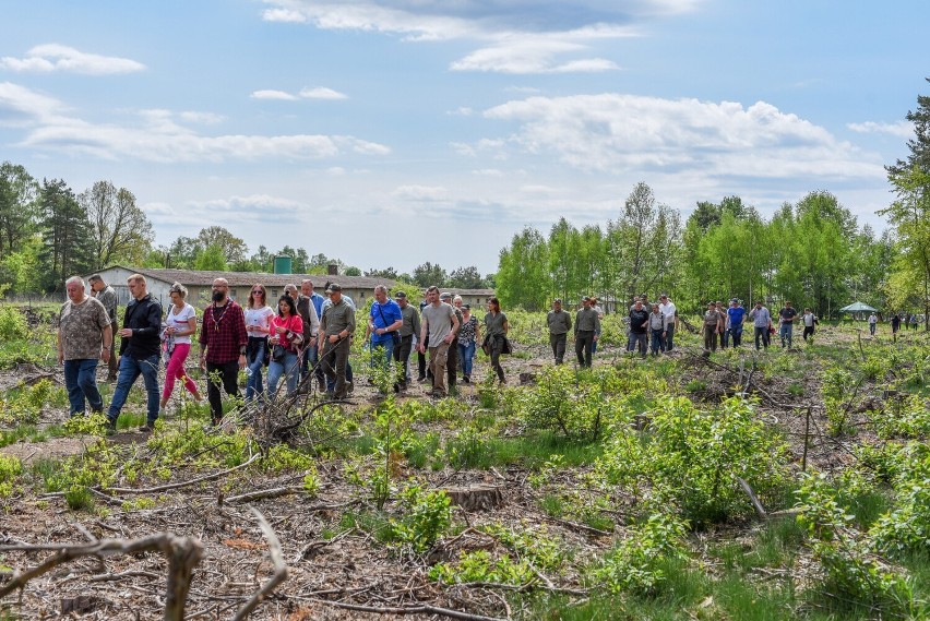 Mieszkańcy Olesna sadzą las integracji lokalnej. Drzewa z lotu ptaka utworzą napis OOL