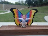 Kolorowe motyle na fotografiach mieszkańców Obornik