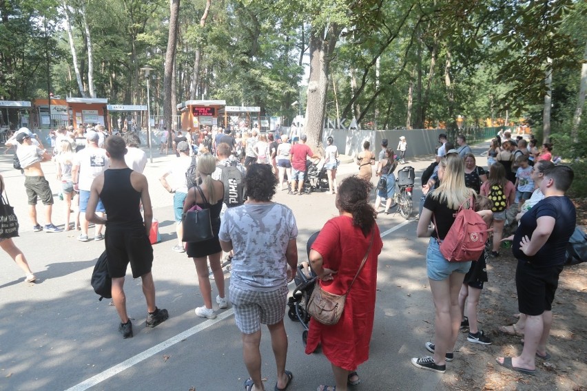 Tłumy szczecinian na Arkonce w Szczecinie. Zobacz zdjęcia