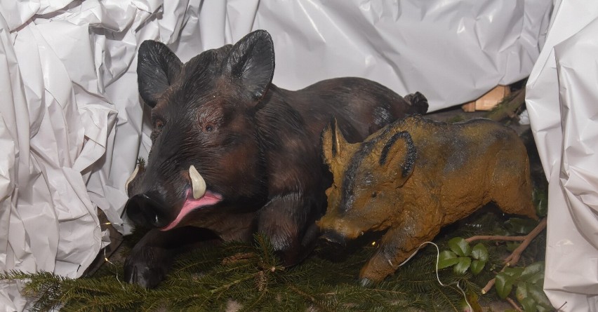 Tak w zeszłym roku wyglądało Sędzińskie Betlejem - jedyny TAKI żłóbek w powiecie szamotulskim!