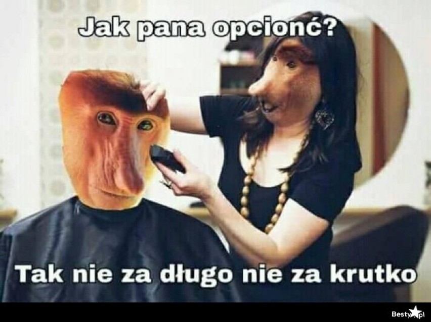 Najlepsze memy o fryzjerach. "Boki krótko, górę długo" Janusz w lokalu... drżyjcie mistrzowie nożyczek! 