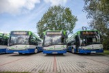 Kraków. Kierowcy autobusów mogą nie pójść na wrześniowy urlop. Czy to kolejne pokłosie kryzysu w MPK?