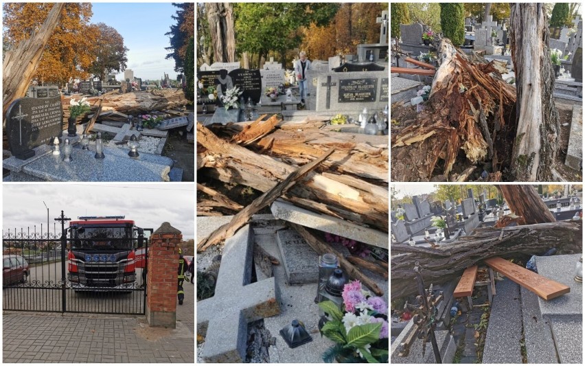 Powalone drzewo na cmentarzu w Brześciu Kujawskim uszkodziło...