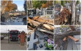 Drzewo zniszczyło nagrobki na cmentarzu w Brześciu Kujawskim [zdjęcia]