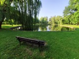 Park i stawy przy "Batorego". Oaza spokoju w centrum miasta. Lubicie tu przychodzić? A może coś byście zmienili?