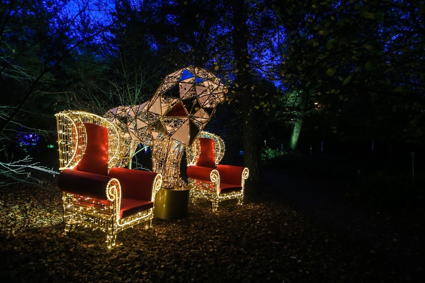 Iluminacje świetlne w Ogrodzie Dendrologicznym w Poznaniu...