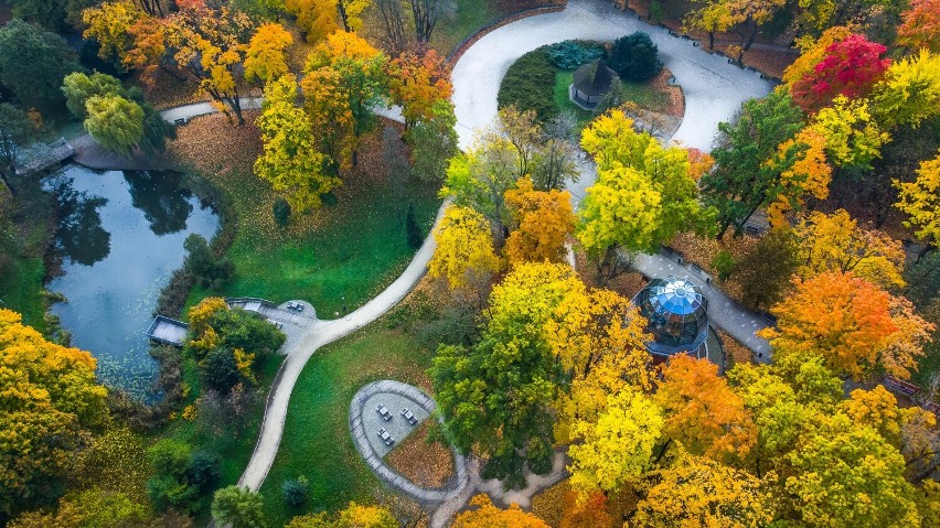 Piękna jesień w podjasnogórskich parkach w Częstochowie