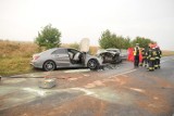 Akt oskarżenia w sprawie wypadku pod Osieczną, w którym zginał 10-latek. Prokurator zarzuca kierowcy umyślność
