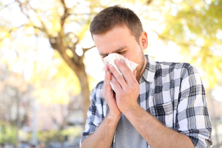 Alergia na pyłki roślin jest najczęściej występującą alergią...