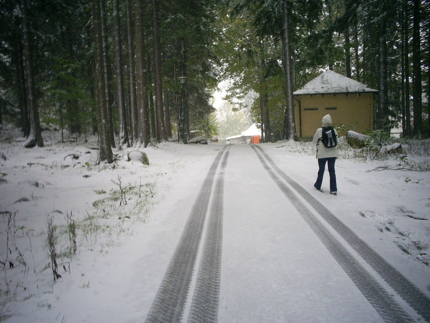 Ulica 1 Maja, dojście do ośrodka Olimp.Fot. Dorota...