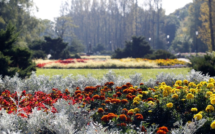 Międzynarodowa Wystawa Kwiatów w Parku Śląskim. W tym roku temat przewodni: Ogród z humorem