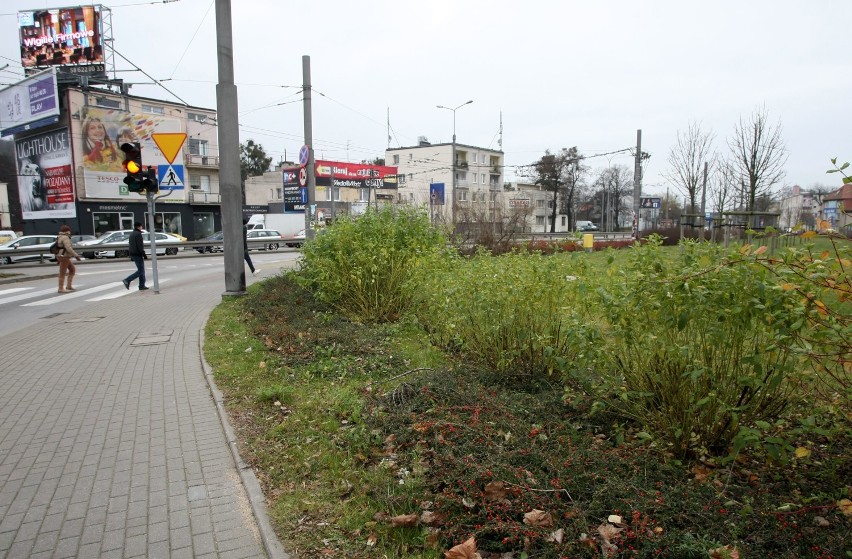 Gdynia. Kartka z kalendarza. 8.12.2013. Urzędnicy planują sprzedaż terenu przy alei Zwycięstwa. Towarzystwo Przyjaciół Orłowa protestuje