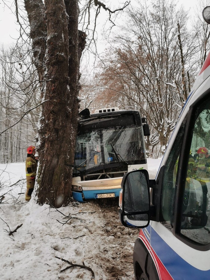 Wypadek w Czechowicach-Dziedzicach. Autobus uderzył w drzewo. Cztery osoby, w  tym dzieci, przewiezione do szpitala