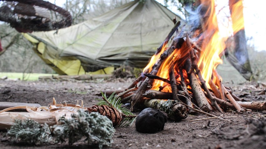 Survival i bushcraft. Będziesz mógł nocować na dziko w państwowych lasach! 