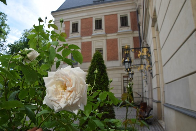 Zamek pszczyński i róża księżnej Daisy

Zobacz kolejne zdjęcia. Przesuwaj zdjęcia w prawo - naciśnij strzałkę lub przycisk NASTĘPNE