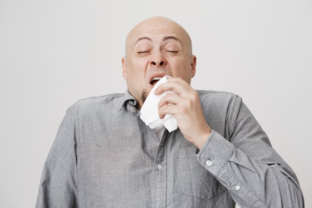 Kichanie pomaga zapobiec zachorowaniu lub zranieniu się przez różne rzeczy, które mogą dostać się do nosa.